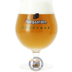 Buy-Achat-Purchase - Hoegaarden Special Glass - Glasses -