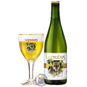 Buy-Achat-Purchase - Les 3 Fourquets Lupulus 8.5° - 3/4L - Special beers -