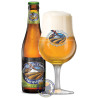 Buy-Achat-Purchase - Queue de Charrue Tripel 9°-1/3L - Special beers -
