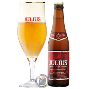 Buy-Achat-Purchase - Hoegaarden Julius Blond 8.5° - 1/3L - Special beers -