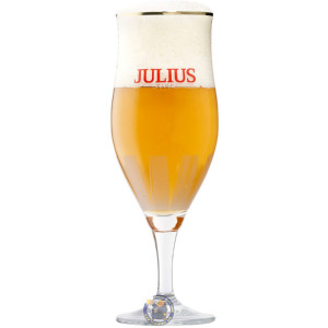 Buy-Achat-Purchase - Hoegaarden Julius Glass - Glasses -
