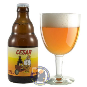 Buy-Achat-Purchase - César 8.5° - 1/3L - Special beers -