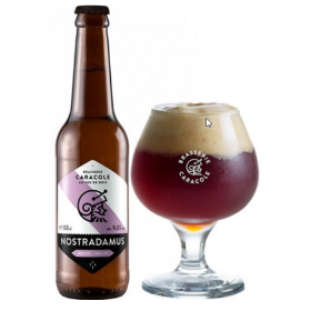 Buy-Achat-Purchase - Nostradamus 9.5° - 1/3L - Christmas Beers -