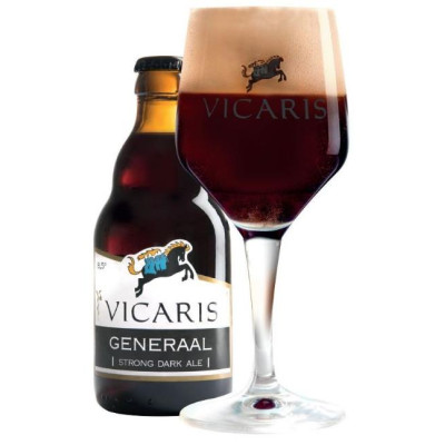 Buy-Achat-Purchase - Vicaris Generaal 8,8° -1/3L - Special beers -
